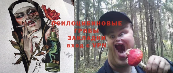 ПСИЛОЦИБИНОВЫЕ ГРИБЫ Кодинск